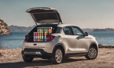 affordable car fridges list