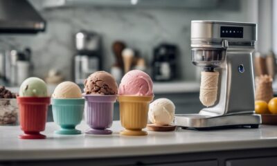 choosing the perfect ice cream maker