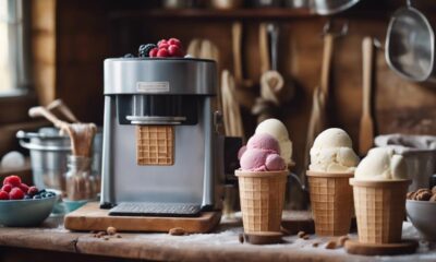 independent ice cream makers