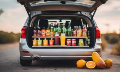 portable car fridge reviews