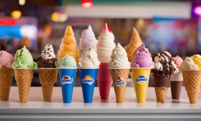 sonic s frozen treat variety