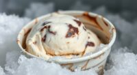 homemade ice cream lifespan