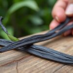 madagascar vanilla bean sourcing