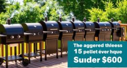 affordable pellet smokers guide