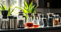 top cold brew coffee makers