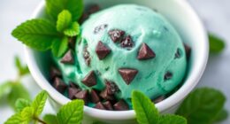 homemade mint chocolate gelato