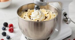 frozen dessert preparation aid