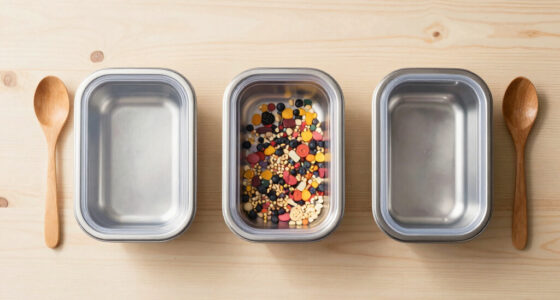 14 Best Ice Cream Storage Containers in 2026