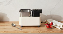 14 Best Ice Cream Maker With Compressor in 2026