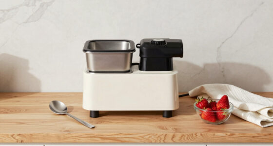 14 Best Ice Cream Maker With Compressor in 2026