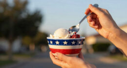 14 Best Patriotic Ice Cream Bowls in 2026