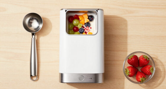 15 Best Gelato Maker Machines in 2026