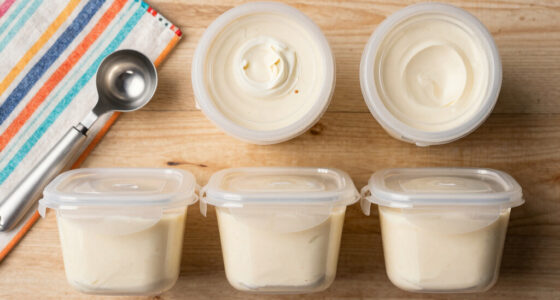 How to Choose Ice Cream Storage Containers