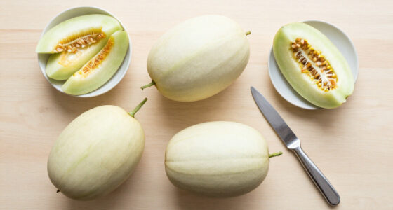 Kashgar Melons Enter Hong Kong Market For First Time-中新网 - Xj.chinanews.com.cn
