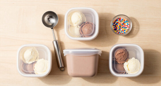 12 Best Ice Cream Storage Containers for Homemade Treats in 2026