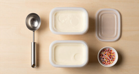 13 Best Ice Cream Storage Containers in 2026