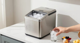 15 Best Nugget Ice Makers in 2026