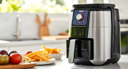 Enjoy Summer Crisps with the Ninja Air Fryer AF141