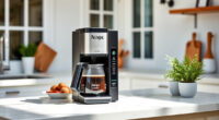 Summer Care Guide for Ninja Hot & Iced XL Coffee Maker