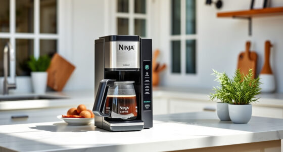 Summer Care Guide for Ninja Hot & Iced XL Coffee Maker