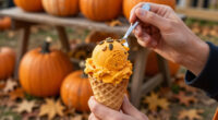 7 Best Pumpkin Ice Cream in 2027